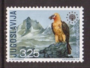 Yugoslavia   #1043  MNH  1974  nature protection 1970  bird  vulture