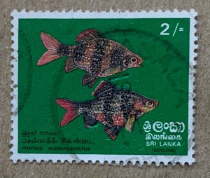 Sri Lanka 1972 2/ Tropical Fish, used. Scott 476, CV $4.50. SG 597