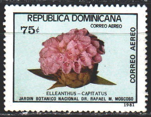 Dominican Republic. 1981. 1326 from the series. Cacti, flora. MLH.