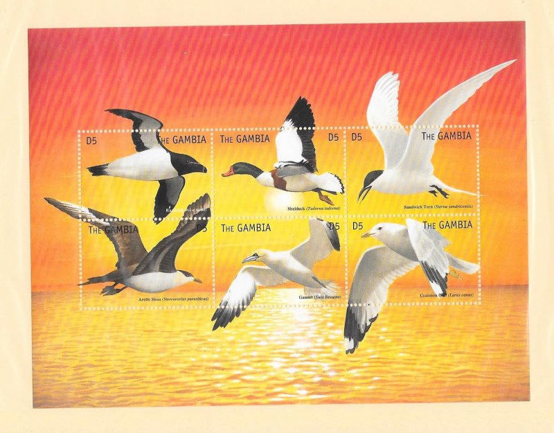 BIRDS -  GAMBIA #2573  SHEET OF 6  MNH