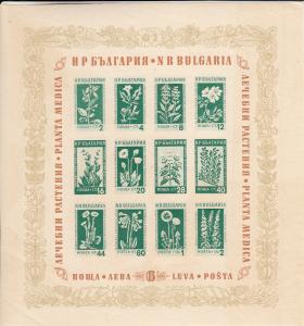 Bulgaria 1953 MNH Scott #843a Souvenir sheet of 12 imperf Medicinal Plants