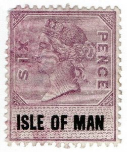 (I.B) QV Revenue : Isle of Man 6d (1889)
