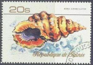 GUINEA 736 USED (CTO) 1977 20s SEA SHELLS CV $1,25