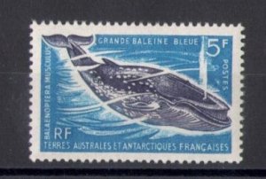 1966 TAAF - Marine Wildlife - 5 Blue and Violet Franks - Yvert #22 - MNH**