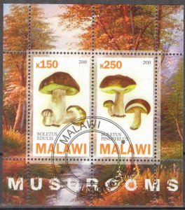 {g031} Malawi 2010 Mushrooms sheet Used / CTO Cinderella