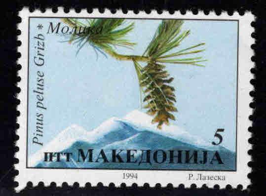 Macedonia Scott 38 MNH**  stamp