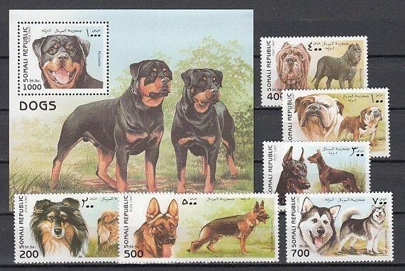 Somali Rep., 1997 Cinderella issue. Various Dogs set and s/sheet. ^