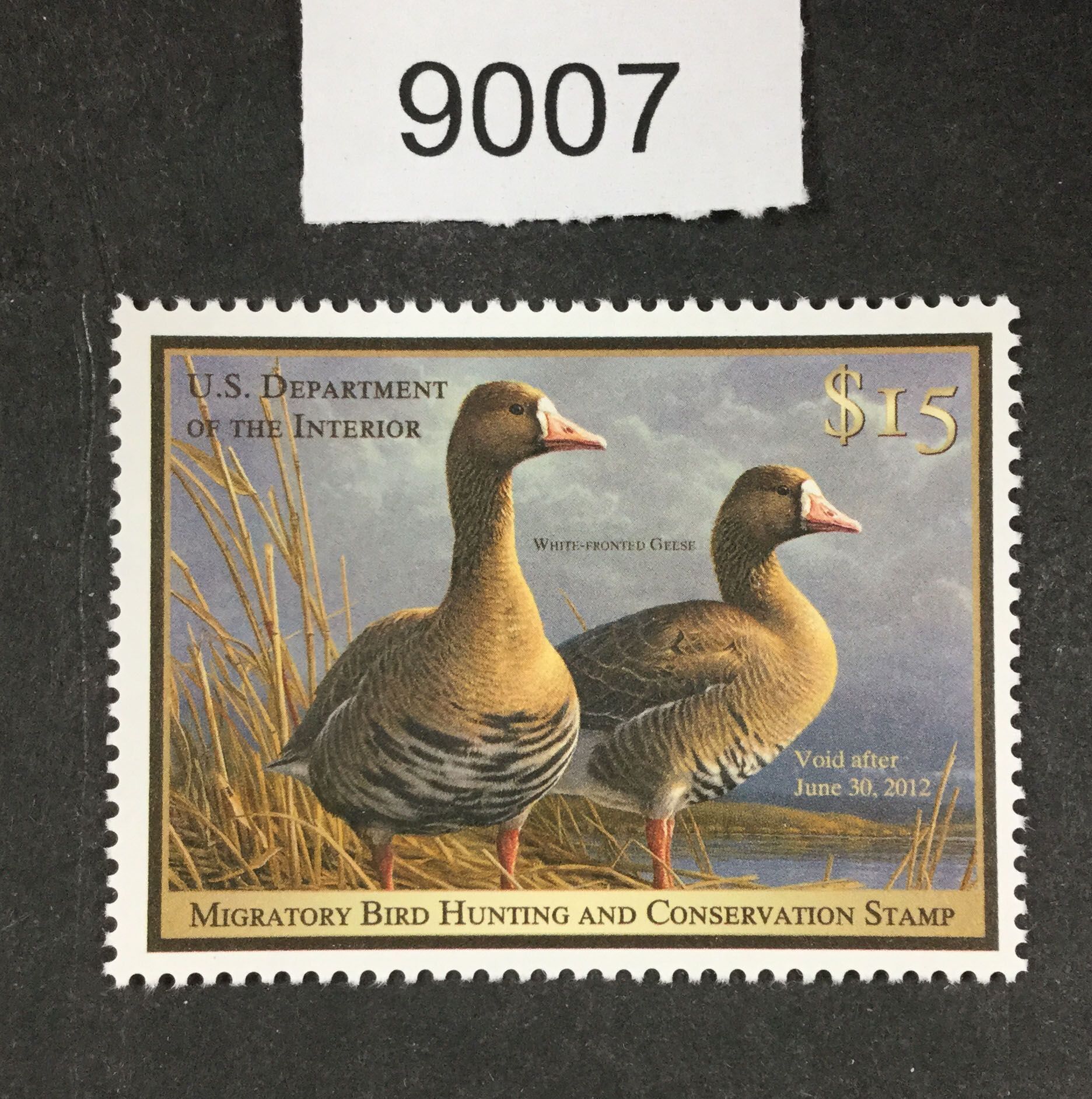 US Stamps Rw78 Duck Mint OG NH LOT C 9007 United States, Duck