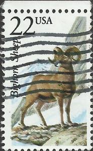 # 2288 USED BIGHORN SHEEP