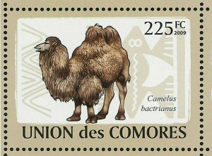 Camels Stamp Camelus Dromedarius Camelus Bactrianus S/S MNH #2128-2133 