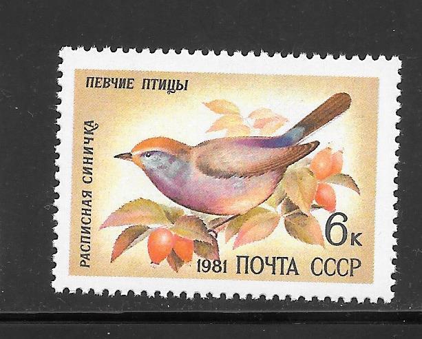 Russia #4972 MNH Single