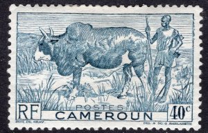 CAMEROUN SCOTT 306