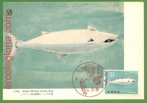 32625 - JAPAN - MAXIMUM CARD - FISHES-