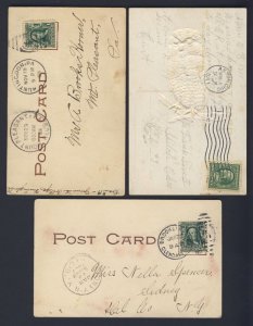 Bird - Owl - Check it out