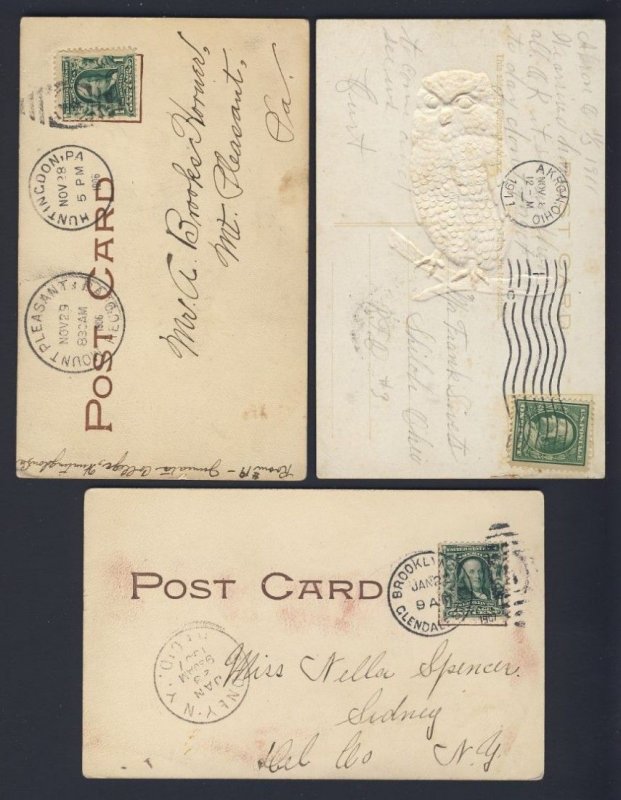 Bird - Owl - Check it out