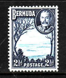 Bermuda-Sc #110-unused,light hinged-2&1/2p light blue & dk blue-KGV-Grape Bay-19