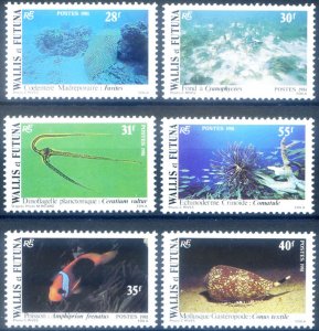 1981 Marine Flora and Fauna.