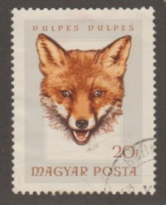 Hungary 1780 Fox