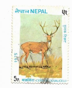 Nepal 1975 - Scott #305 *