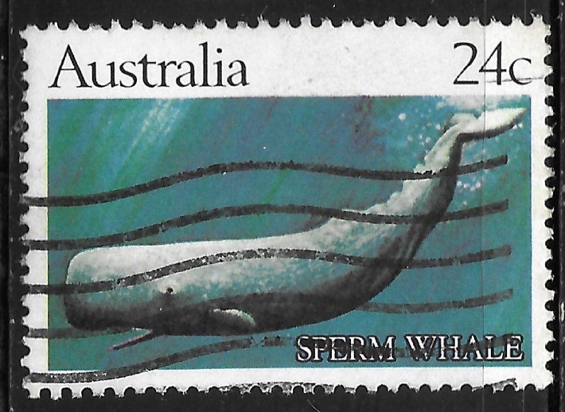 Australia #821 24c Sperm Whale