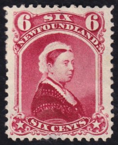 Newfoundland Scott 36 (1894) Mint H F, CV $50.00 C