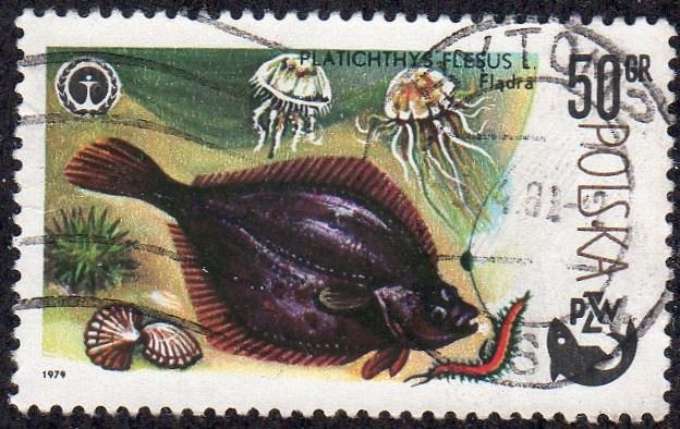 Poland 2327 - Cto - 50g Flounder (1979)