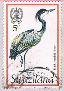 Swaziland 248 Used Heron 1976 (BP2601)