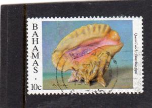 Bahamas Shells used