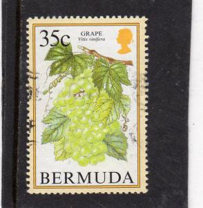 Bermuda Fruit Grapes used