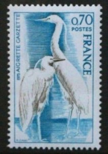 1975 France 1904 Nature conservation