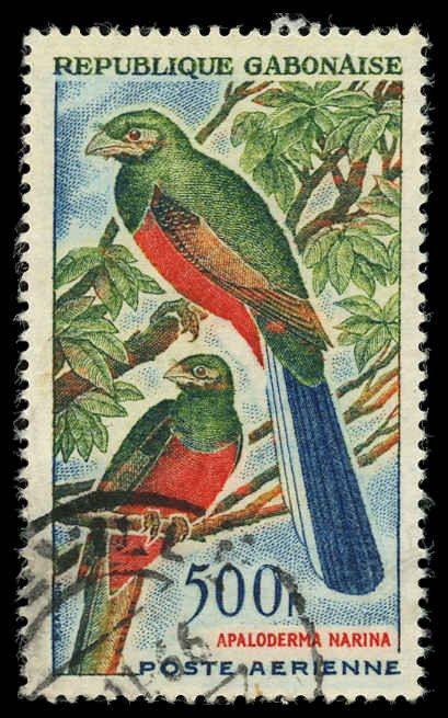 GABON Sc C17 VF/USED - 1963 500f Narina trogon