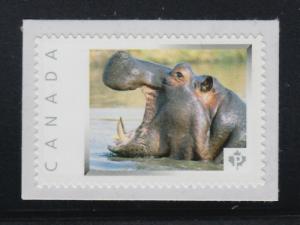 lq. HIPPO, HIPPOPOTAMUS = picture postage stamp MNH Canada 2013 [p3w7/6]