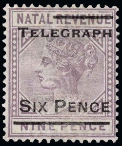 Natal Scott T14b Gibbons T14b Mint Stamp