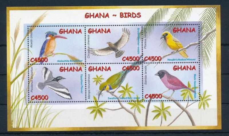 [30034] Ghana 2002 Birds Vögel Oiseaux Ucelli  MNH Sheet