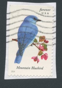 US Scott's # 4883 Mountain Bluebird - Bird - used - on paper