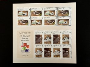 Bermuda: 2001, Endangered Species & Conservation, White Tailed Tropic Bird, M/S