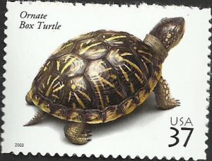 # 3818 MINT NEVER HINGED ( MNH ) ORNATE BOX TURTLE