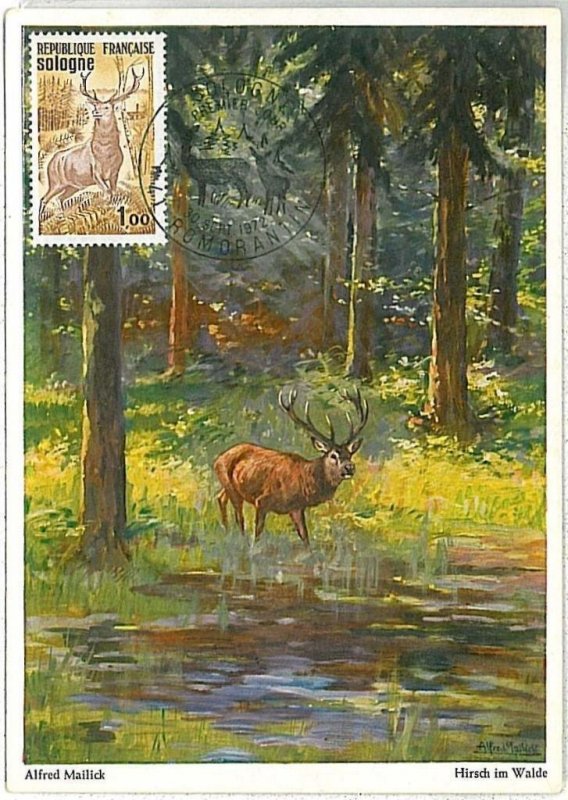 32190 - France - POSTAL HISTORY - MAXIMUM CARD - 1972: Dears, Mountains-