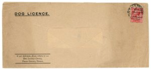 (I.B) George V Revenue : Ireland Dog Licence Official Envelope (1922)