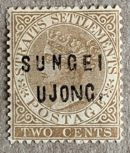 Sungei Ujong 1883 2c brown.  Scott 19 CV $60.00, SG 30.  Unused