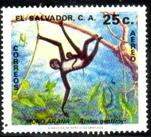 Geoffroy's Spider Monkey, El Salvador stamp SC#C485 used