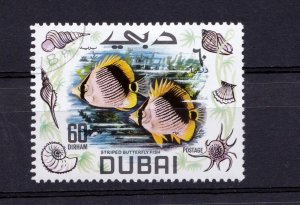 Dubai           107      used