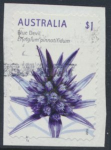 Australia Shrubs Flowers from 2015 Used Blue Devil  details & scan