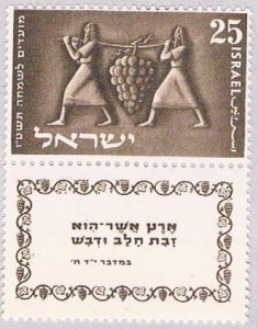Israel 87 MLH Grape Cluster 1954 (BP34613)