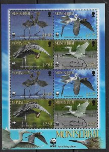 MONTSERRAT SGMS1469 2010 REIDDISH EGRET MNH