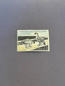 RW31, Hawaiin Nene Goose, Unsigned, CV $50.00