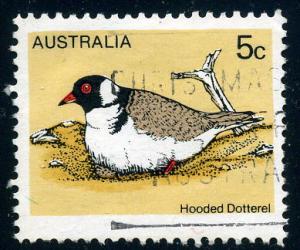 Australia - Scott #682 - 5c - Hooded Dotterel - Used