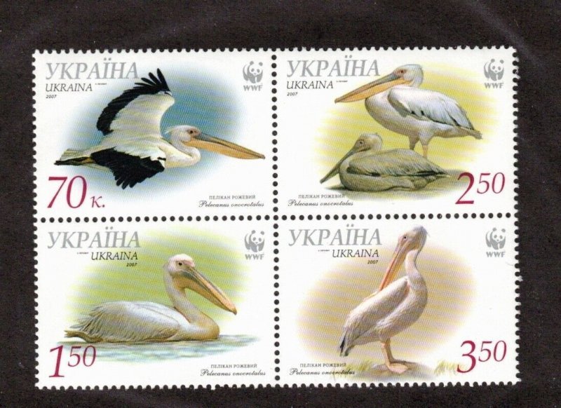 Ukraine Sc 696 MNH Block of 4 issue of 2007 WWF - Nature Fauna Birds Pelicans