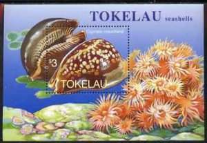TOKELAU - 1996 - Sea Shells, Cowries - Perf Miniature Sheet - Mint Never Hinged