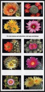 NEW ISSUE (55¢) Cactus Flowers Block of Ten (2019) SA